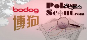 Bodog questions PokerScout's rough data